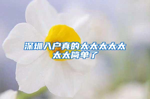 深圳入户真的太太太太太太太简单了