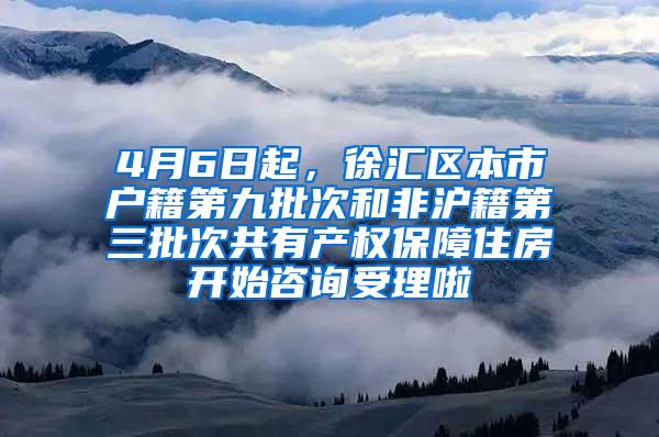 4月6日起，徐汇区本市户籍第九批次和非沪籍第三批次共有产权保障住房开始咨询受理啦