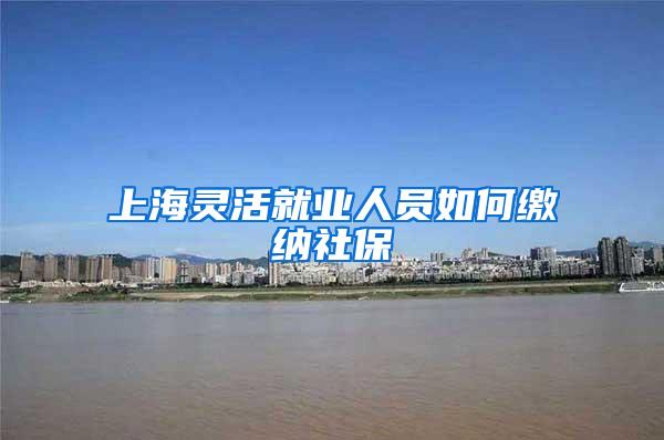 上海灵活就业人员如何缴纳社保