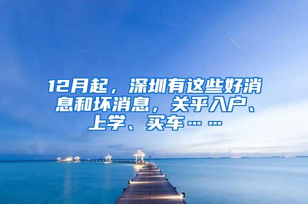 12月起，深圳有这些好消息和坏消息，关乎入户、上学、买车……