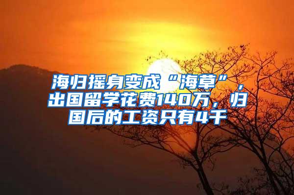 海归摇身变成“海草”，出国留学花费140万，归国后的工资只有4千
