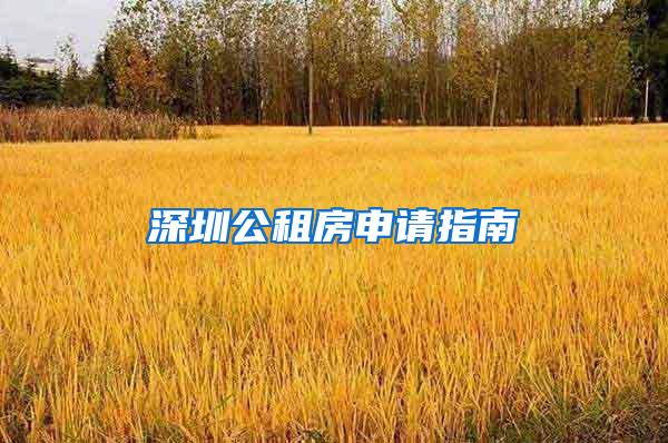 深圳公租房申请指南