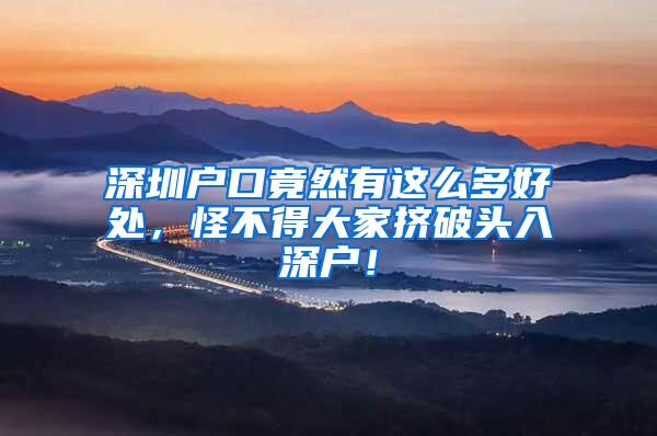 深圳户口竟然有这么多好处，怪不得大家挤破头入深户！