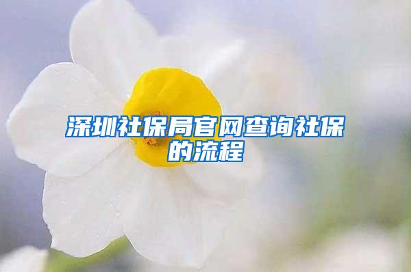 深圳社保局官网查询社保的流程