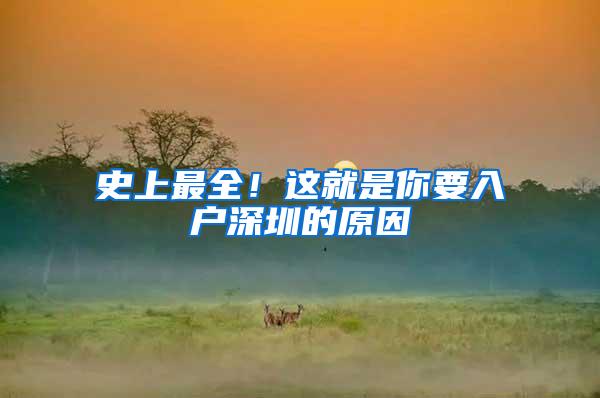 史上最全！这就是你要入户深圳的原因