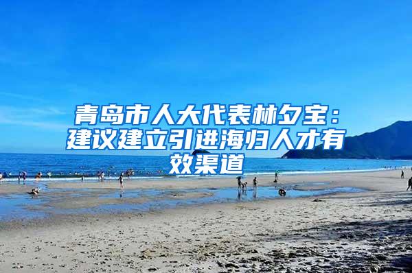 青岛市人大代表林夕宝：建议建立引进海归人才有效渠道