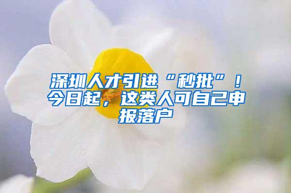 深圳人才引进“秒批”！今日起，这类人可自己申报落户