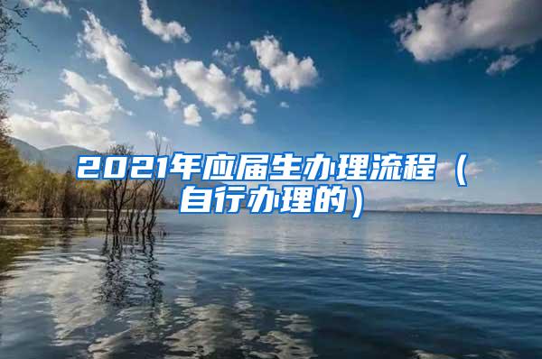 2021年应届生办理流程（自行办理的）