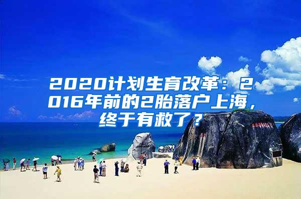 2020计划生育改革：2016年前的2胎落户上海，终于有救了？