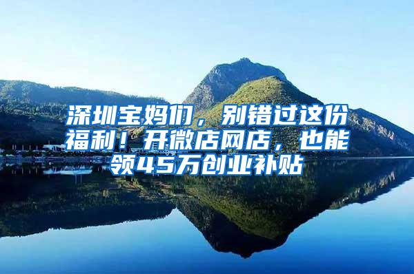 深圳宝妈们，别错过这份福利！开微店网店，也能领45万创业补贴