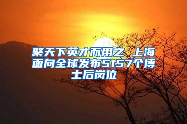 聚天下英才而用之 上海面向全球发布5157个博士后岗位