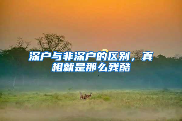深户与非深户的区别，真相就是那么残酷