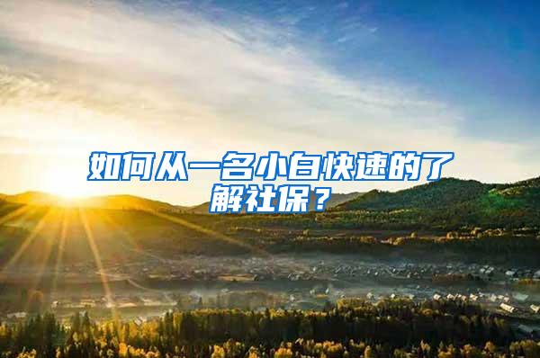 如何从一名小白快速的了解社保？