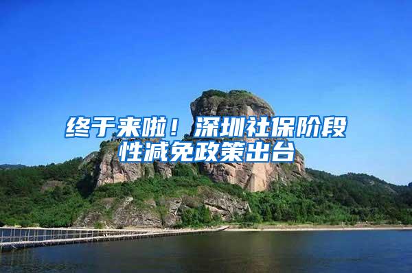 终于来啦！深圳社保阶段性减免政策出台
