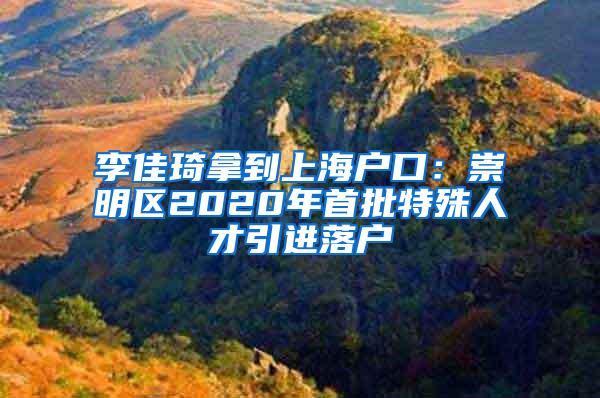 李佳琦拿到上海户口：崇明区2020年首批特殊人才引进落户