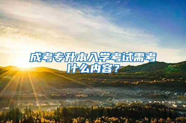 成考专升本入学考试需考什么内容？