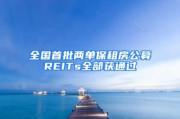 全国首批两单保租房公募REITs全部获通过