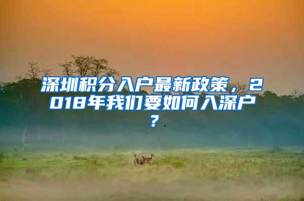 深圳积分入户最新政策，2018年我们要如何入深户？