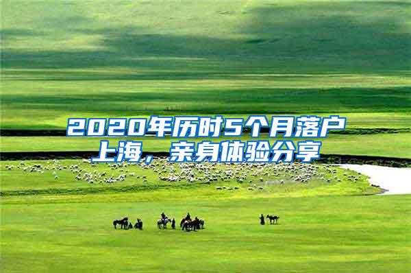 2020年历时5个月落户上海，亲身体验分享