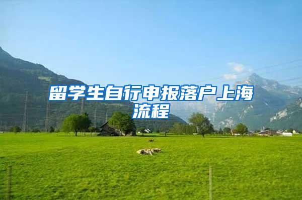 留学生自行申报落户上海流程