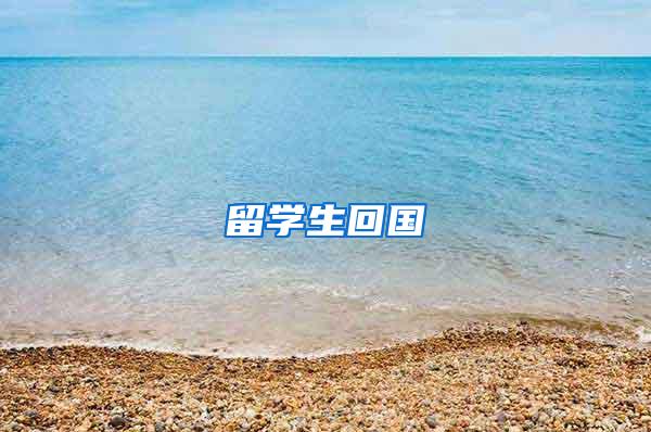 留学生回国