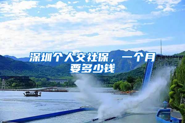 深圳个人交社保，一个月要多少钱