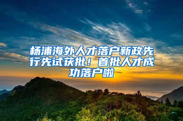 杨浦海外人才落户新政先行先试获批！首批人才成功落户啦