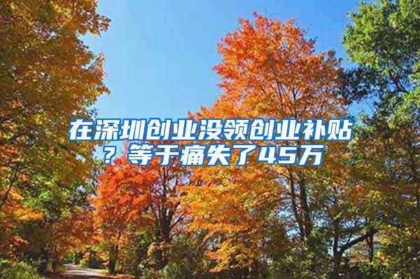 在深圳创业没领创业补贴？等于痛失了45万