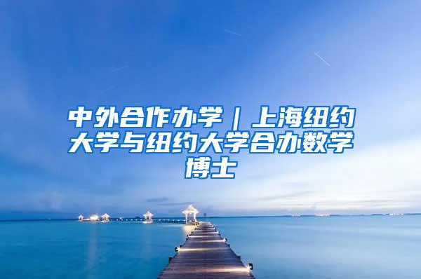 中外合作办学｜上海纽约大学与纽约大学合办数学博士