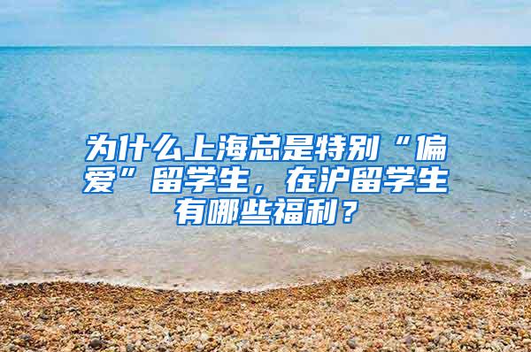 为什么上海总是特别“偏爱”留学生，在沪留学生有哪些福利？