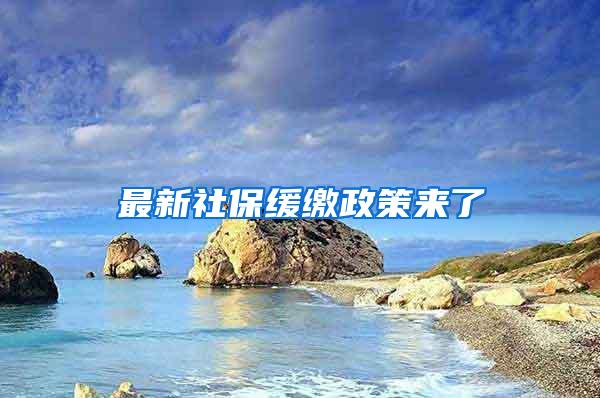 最新社保缓缴政策来了