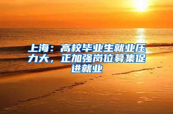 上海：高校毕业生就业压力大，正加强岗位募集促进就业