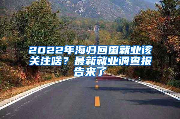 2022年海归回国就业该关注啥？最新就业调查报告来了