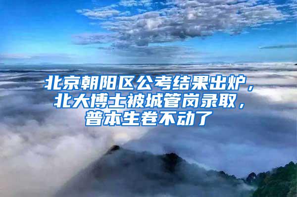 北京朝阳区公考结果出炉，北大博士被城管岗录取，普本生卷不动了