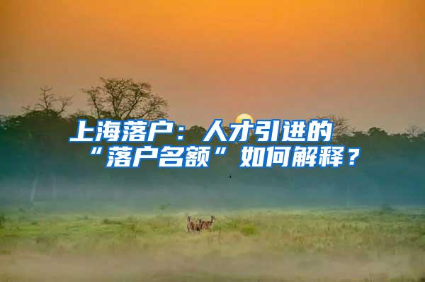 上海落户：人才引进的“落户名额”如何解释？