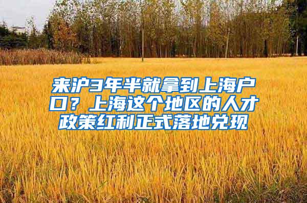 来沪3年半就拿到上海户口？上海这个地区的人才政策红利正式落地兑现