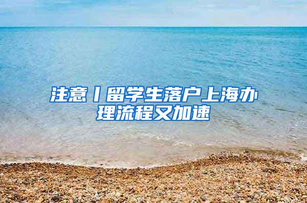 注意丨留学生落户上海办理流程又加速