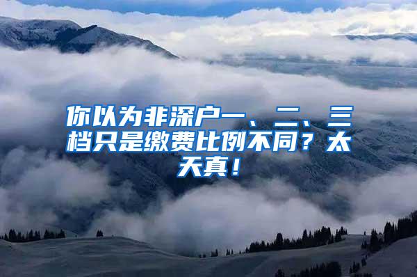 你以为非深户一、二、三档只是缴费比例不同？太天真！
