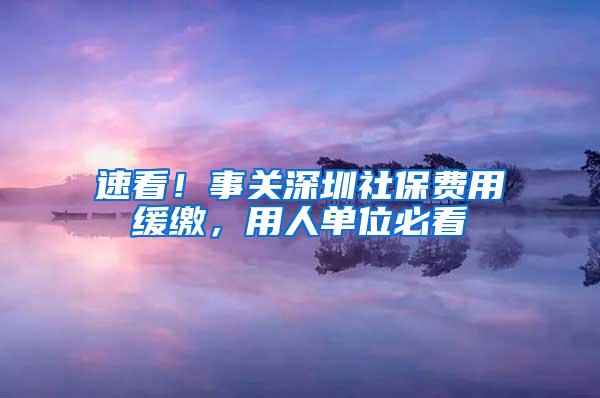 速看！事关深圳社保费用缓缴，用人单位必看