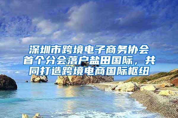 深圳市跨境电子商务协会首个分会落户盐田国际，共同打造跨境电商国际枢纽
