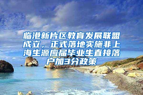 临港新片区教育发展联盟成立，正式落地实施非上海生源应届毕业生直接落户加3分政策