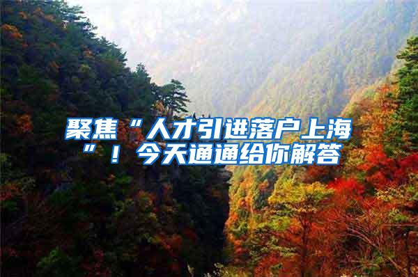 聚焦“人才引进落户上海”！今天通通给你解答