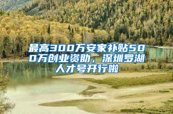 最高300万安家补贴500万创业资助，深圳罗湖人才号开行啦