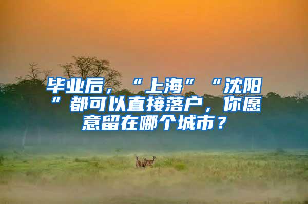毕业后，“上海”“沈阳”都可以直接落户，你愿意留在哪个城市？