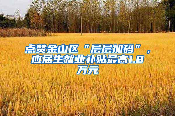 点赞金山区“层层加码”，应届生就业补贴最高1.8万元