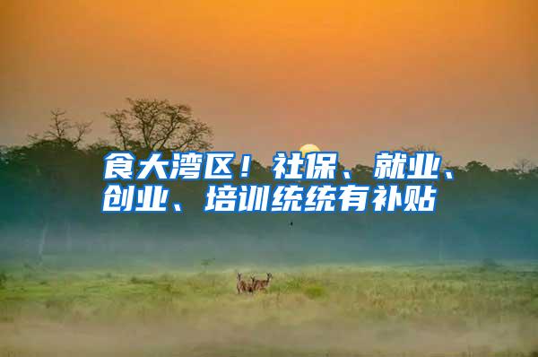 揾食大湾区！社保、就业、创业、培训统统有补贴