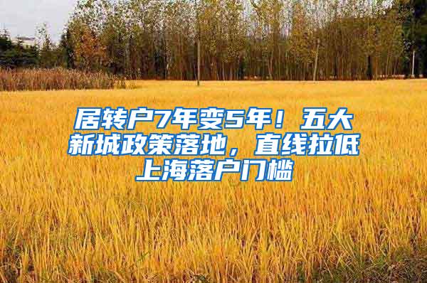 居转户7年变5年！五大新城政策落地，直线拉低上海落户门槛