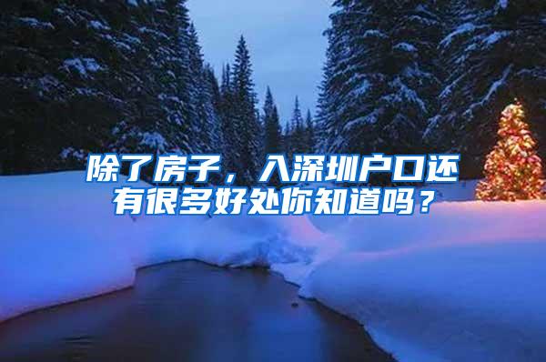 除了房子，入深圳户口还有很多好处你知道吗？