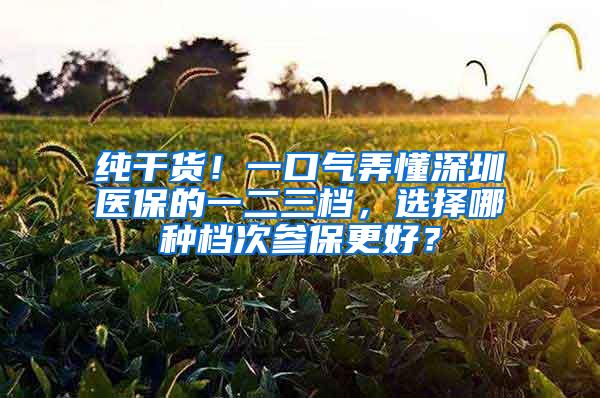 纯干货！一口气弄懂深圳医保的一二三档，选择哪种档次参保更好？