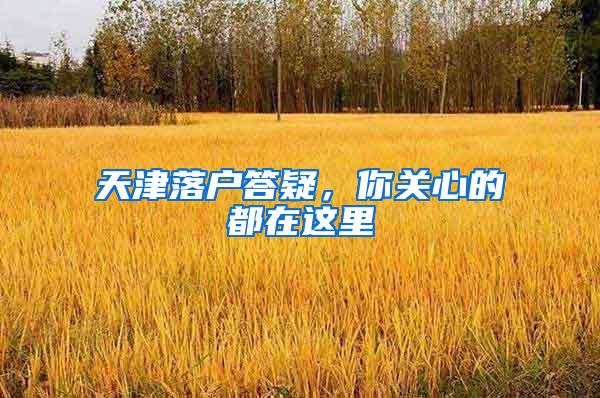 天津落户答疑，你关心的都在这里